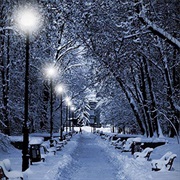 White Is in the Winter Night