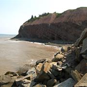 Joggins Fossil Cliffs