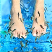 Fishpedicure