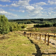Utrechtse Heuvelrug National Park