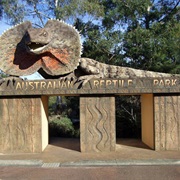Australian Reptile Park, NSW