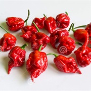 Try Carolina Reaper Chili Peppers