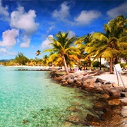 Island Hopping in the Caribbrean