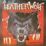 Leatherwolf - Endangered Species