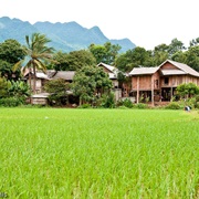 Mai Chau