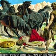 Mares of Diomedes