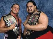 Owen Hart & Yokozuna