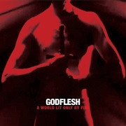Godflesh - "A World Lit Only by Fire"