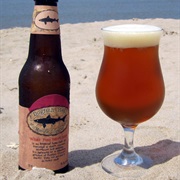 90 Minute IPA – Dogfish Head