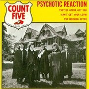 The Count Five, Psychotic Reaction