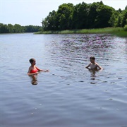 Swim in a Lake