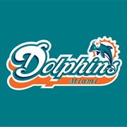 Go to a Dolphins Football Game