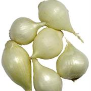 Pearl Onions