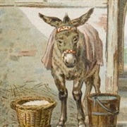 Buridan's Ass Thought Experiment