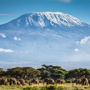 Tanzania: Kilimanjaro (19,331 Ft)