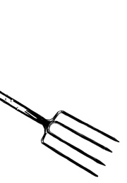 המקרה המוזר של הכלב בשעת לילה (מרק האדון)