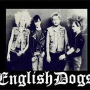 English Dogs