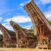 Toraja Land, Sulawesi, Indonesia