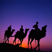 The Bible States 3 Magi/Kings Visited Jesus on Camels