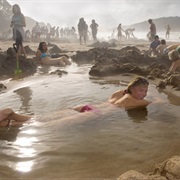 Hot Water Beach Coromandel