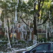 Jocks TP'd Houses
