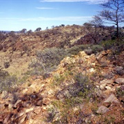 Oldest Rocks - Jack Hills, Western Australia