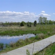 Outdoor Discovery Center of Wildlife Unlimited