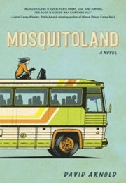 Mosquitoland (David Arnold)
