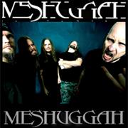 Meshuggah