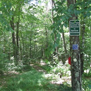 Spencer State Forest, Massachusetts