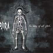 Go the Way of All Flesh