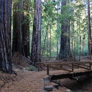 Standish-Hickey State Recreation Area, California
