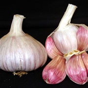Lautrec Pink Garlic