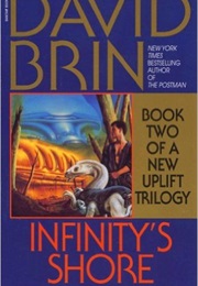 Infinitys Shore (David Brin)