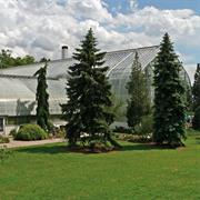 Krohn Conservatory