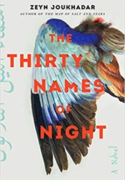 Thirty Names of Night (Zeyn Joukhadar)