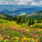 Vitosha Nature Park, Bulgaria