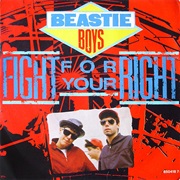 Beastie Boys - "(You Gotta) Fight for Your Right (To Party)"