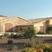 Finca Pública De Son Real, Mallorca