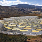 Spotted Lake - Canada