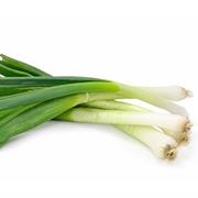 Scallion