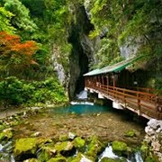 Akiyoshido Cavern