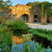Lady Bird Johnson Wildflower Center