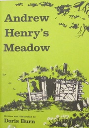 Andrew Henry&#39;s Meadow (Doris Burn)