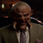 Schindediv - Warthog Wesen