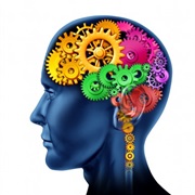 We Use 10% of Our Brain