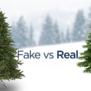 The Smell of a Real Christmas Tree