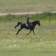 Stop a Runaway Horse