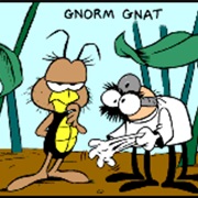 Gnorm Gnat