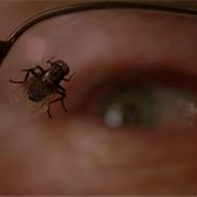 'Fly' - Breaking Bad (E10s03)